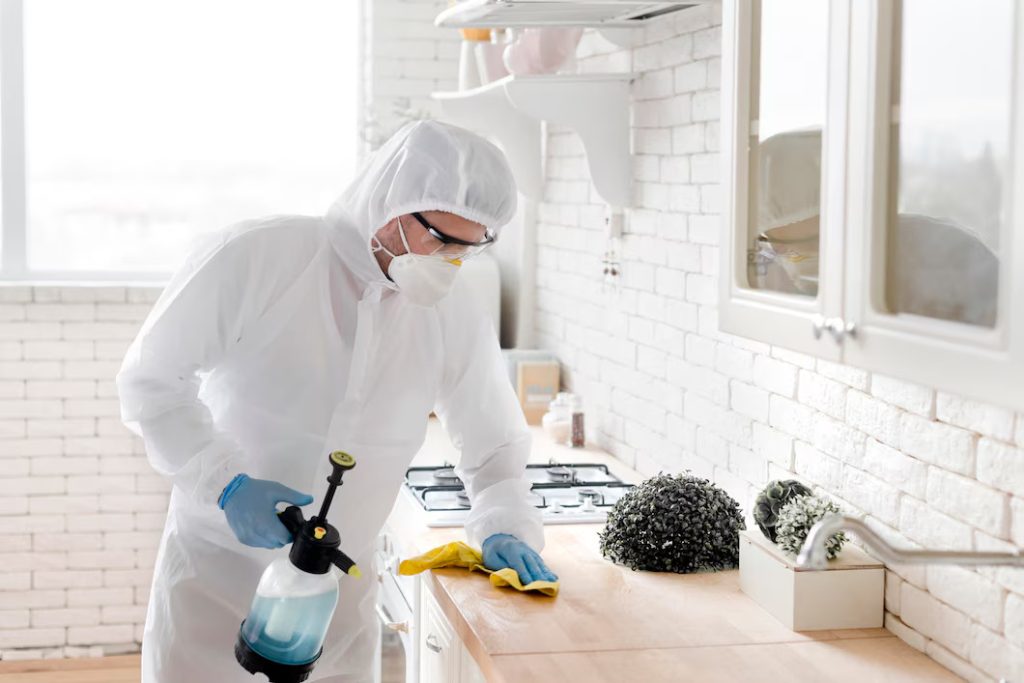 maid cleaning