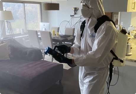 fogging spray disinfection